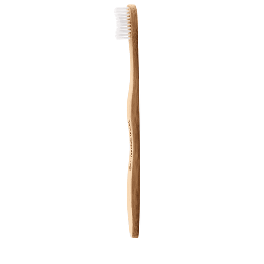 Brosse à Dents Adulte Blanc