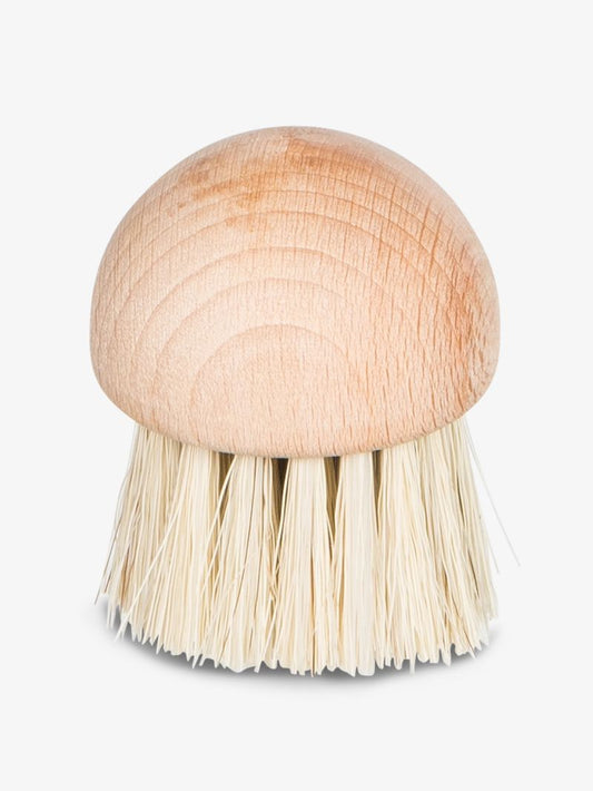 Brosse À Champignons