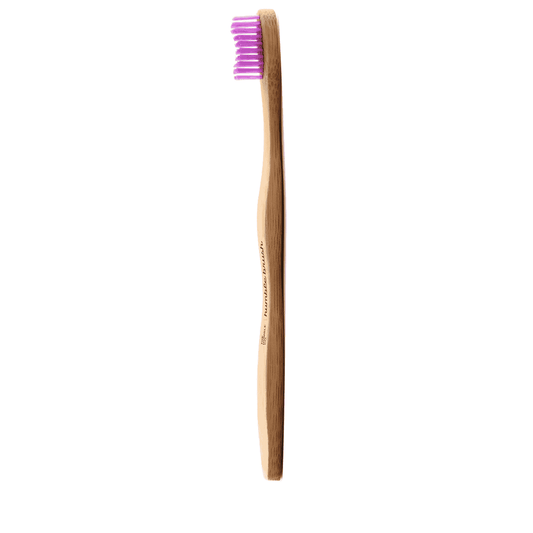 Brosse à Dents Adulte Lila