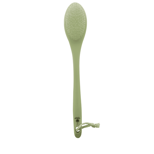 Brosse à dos