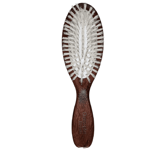 Brosse de voyage